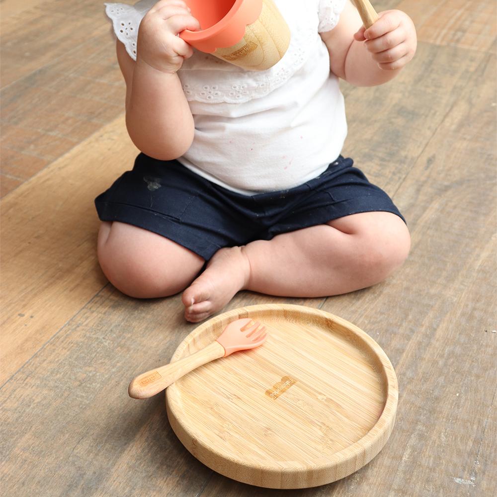 Plato Plano con Ventosa Fisher Price Bam N Boo Rosa BB1169