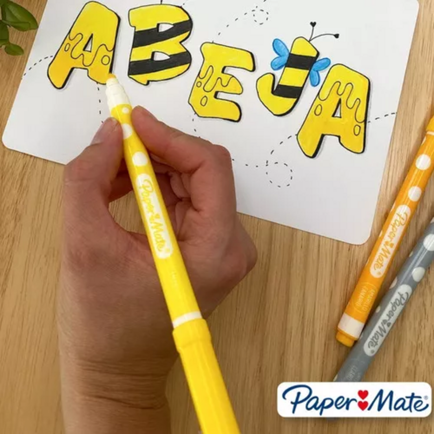 Set de Marcadores Scripto Paper Mate 24 Colores PaperMate New Horizons Chile New Horizons NHT.cl