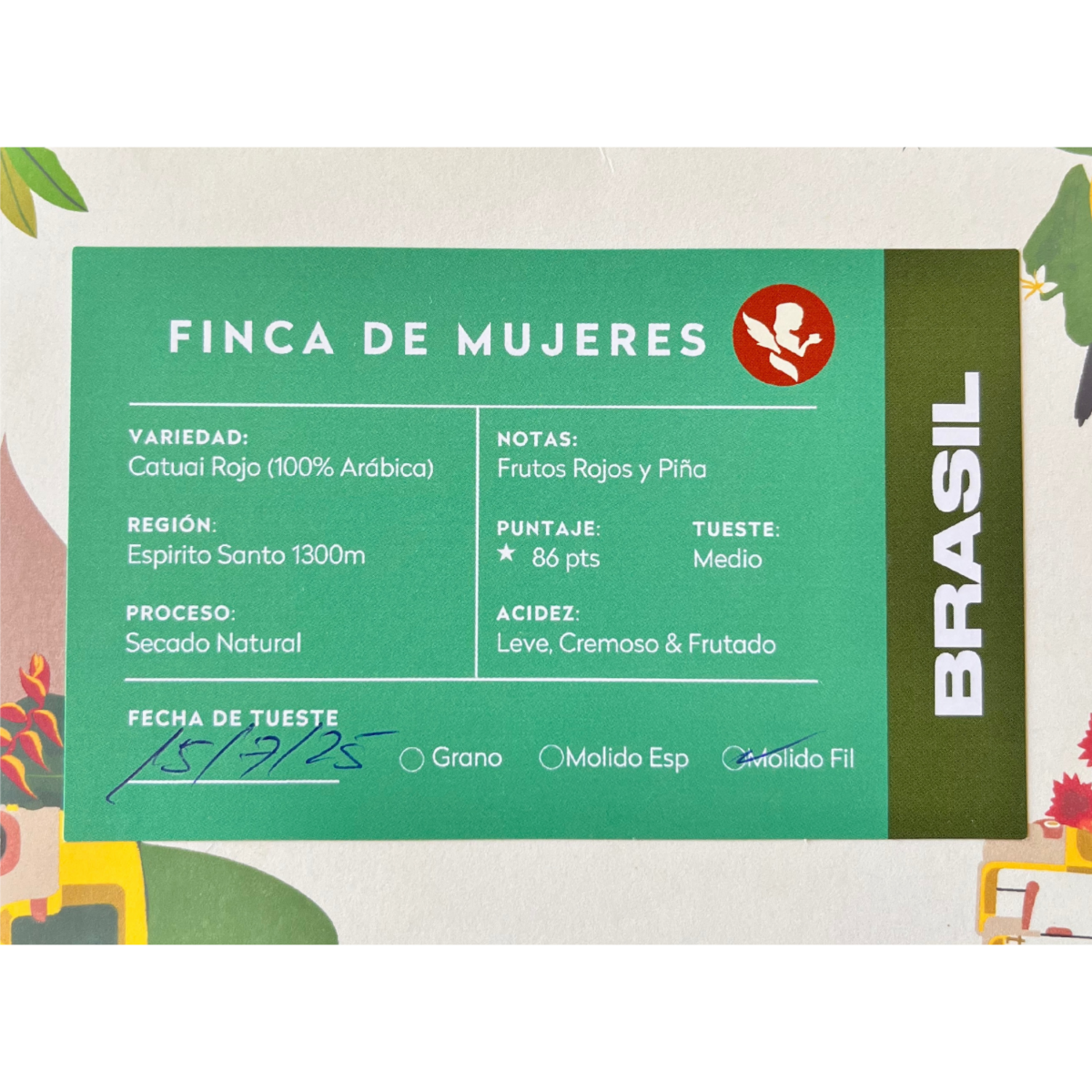 Cafe Sin Maquina Drip Nosso Cafe Justo Finca Mujeres Nosso Cafe Justo New Horizons Chile New Horizons NHT.cl