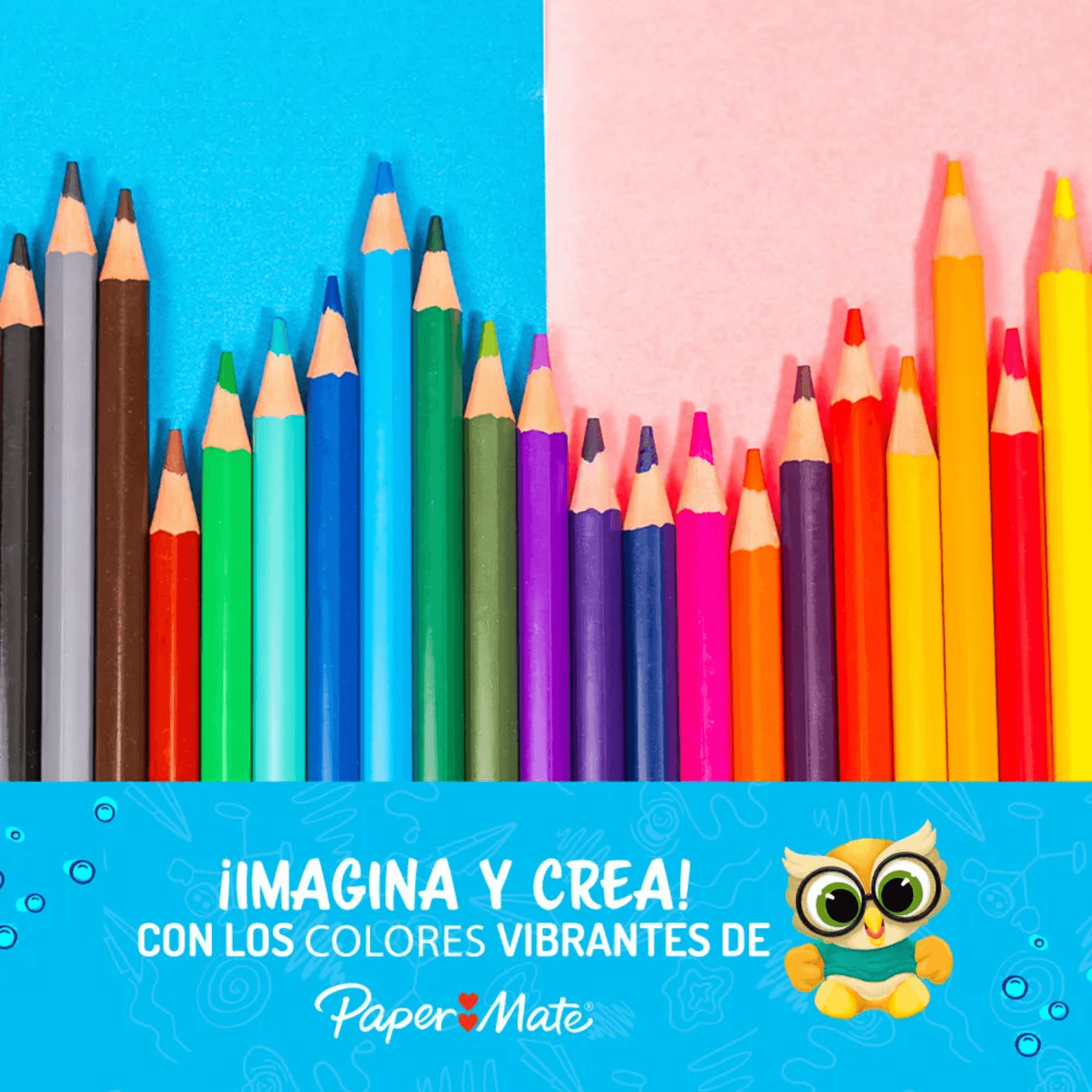 Lápices de Colores Hexagonal PaperMate 24 colores