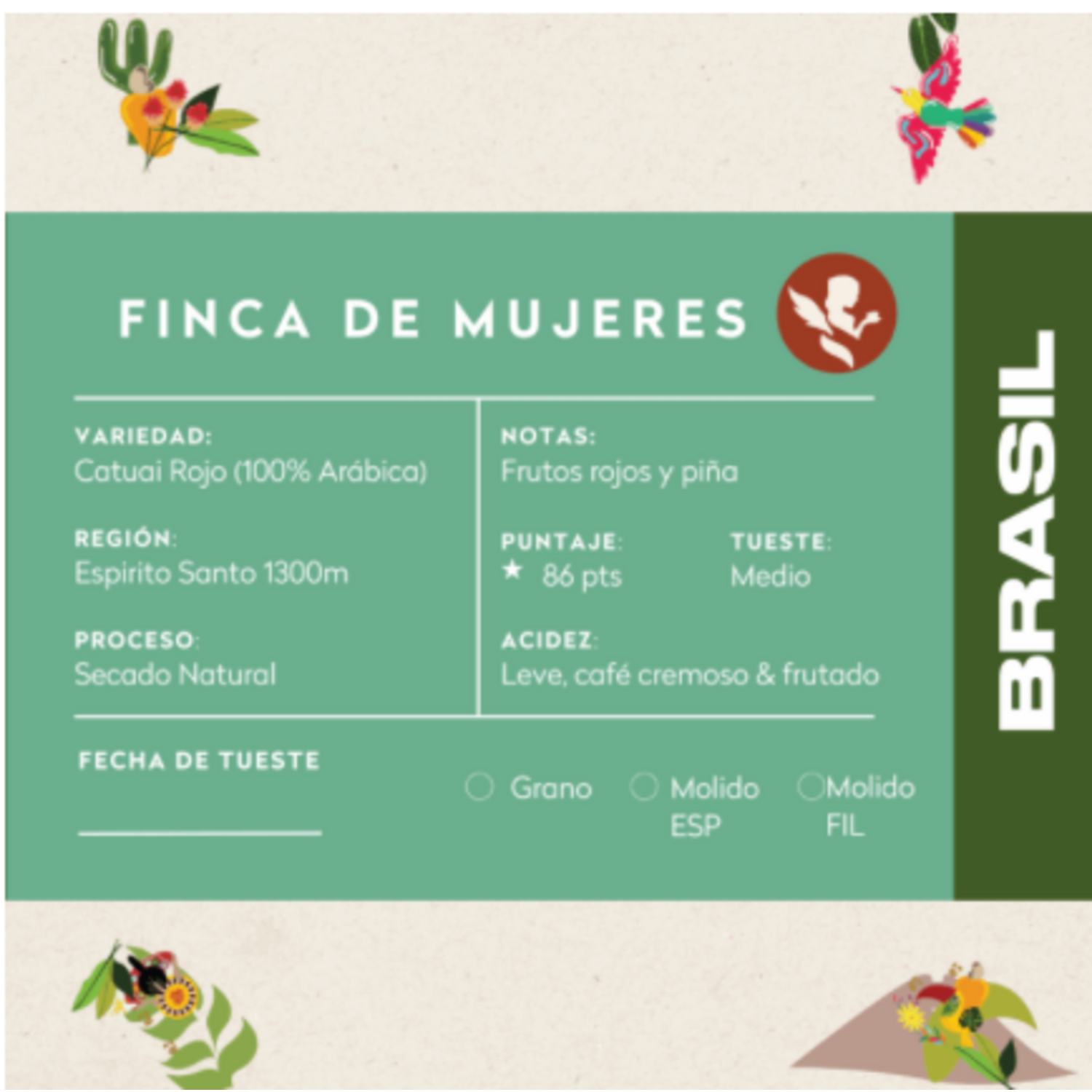 Cafe Molido Nosso Cafe Justo Finca Mujeres Brasil 250g Nosso Cafe Justo New Horizons Chile New Horizons NHT.cl