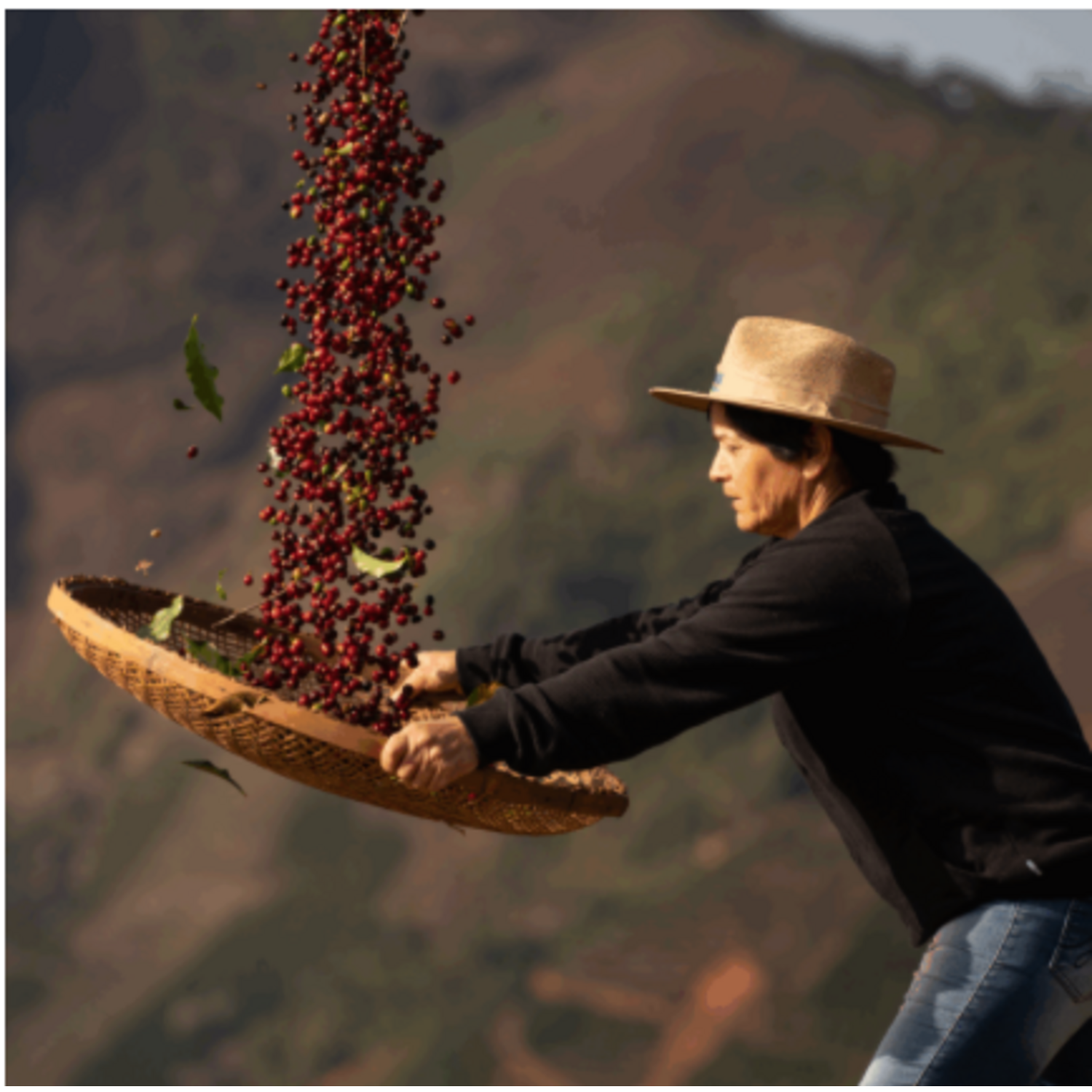 Cafe Molido Nosso Cafe Justo Finca Mujeres Brasil 250g Nosso Cafe Justo New Horizons Chile New Horizons NHT.cl