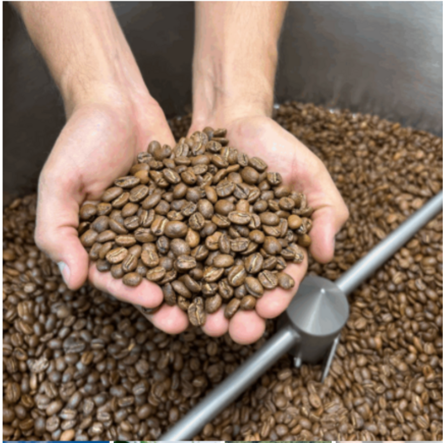 Cafe Molido Nosso Cafe Justo Tropical Blend 250g Nosso Cafe Justo New Horizons Chile New Horizons NHT.cl