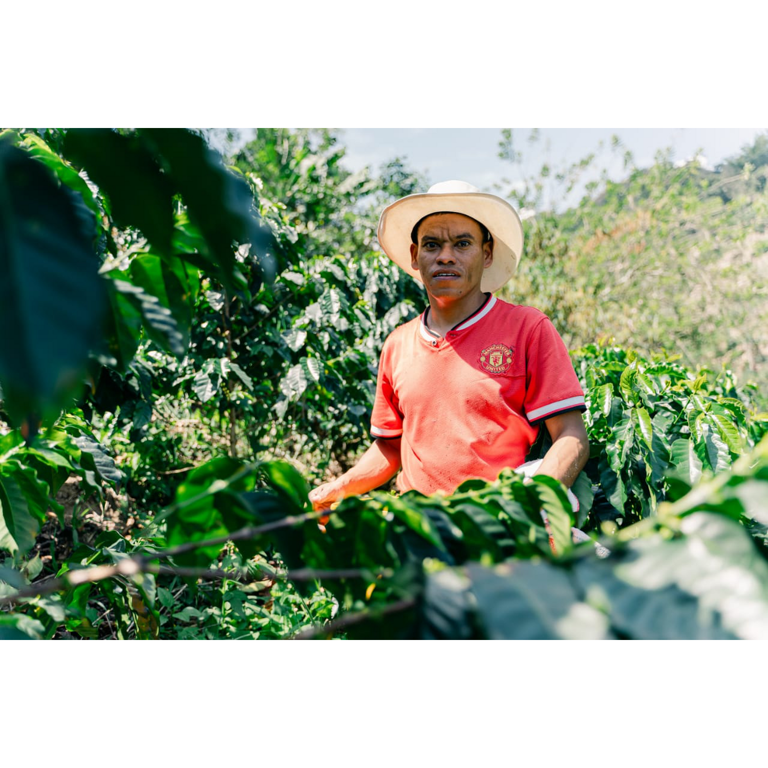 Cafe Molido Espresso Nosso Cafe Justo Finca Indigena 250g