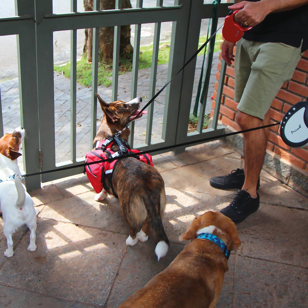 Correa Retractil Perro Mimo P 3 Mt 8kg Roja PP031 Mimo New Horizons Chile New Horizons NHT.cl