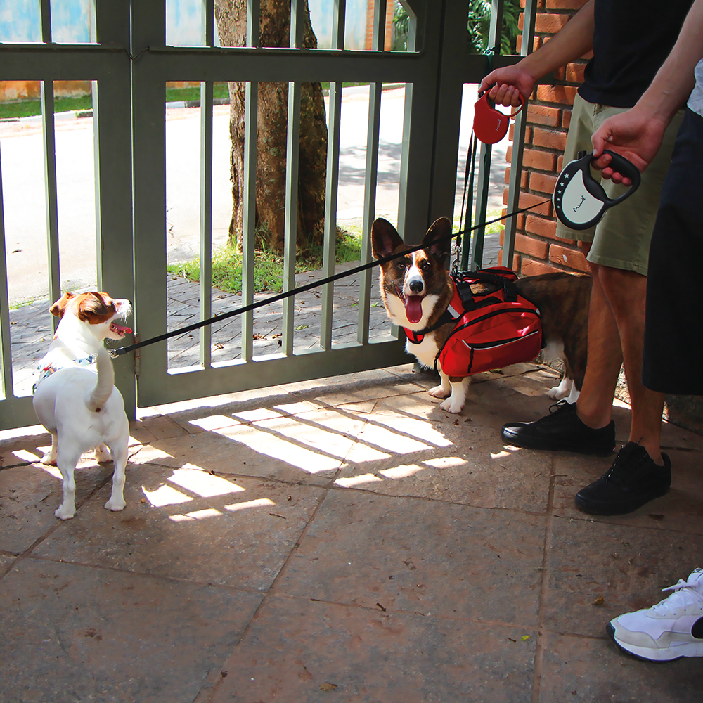 Correa Retractil Perro Mimo P 3 Mt 8kg Roja PP031 Mimo New Horizons Chile New Horizons NHT.cl