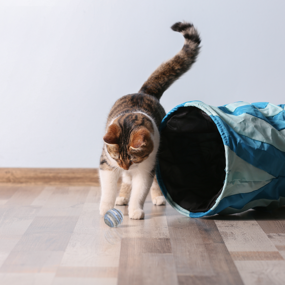Juguete Para Gato Mimo 2 Pelotitas Fibra Nat PP125