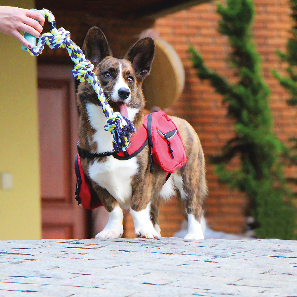 Juguete Para Perro Mimo Cuerda Tirador 45cm PP210