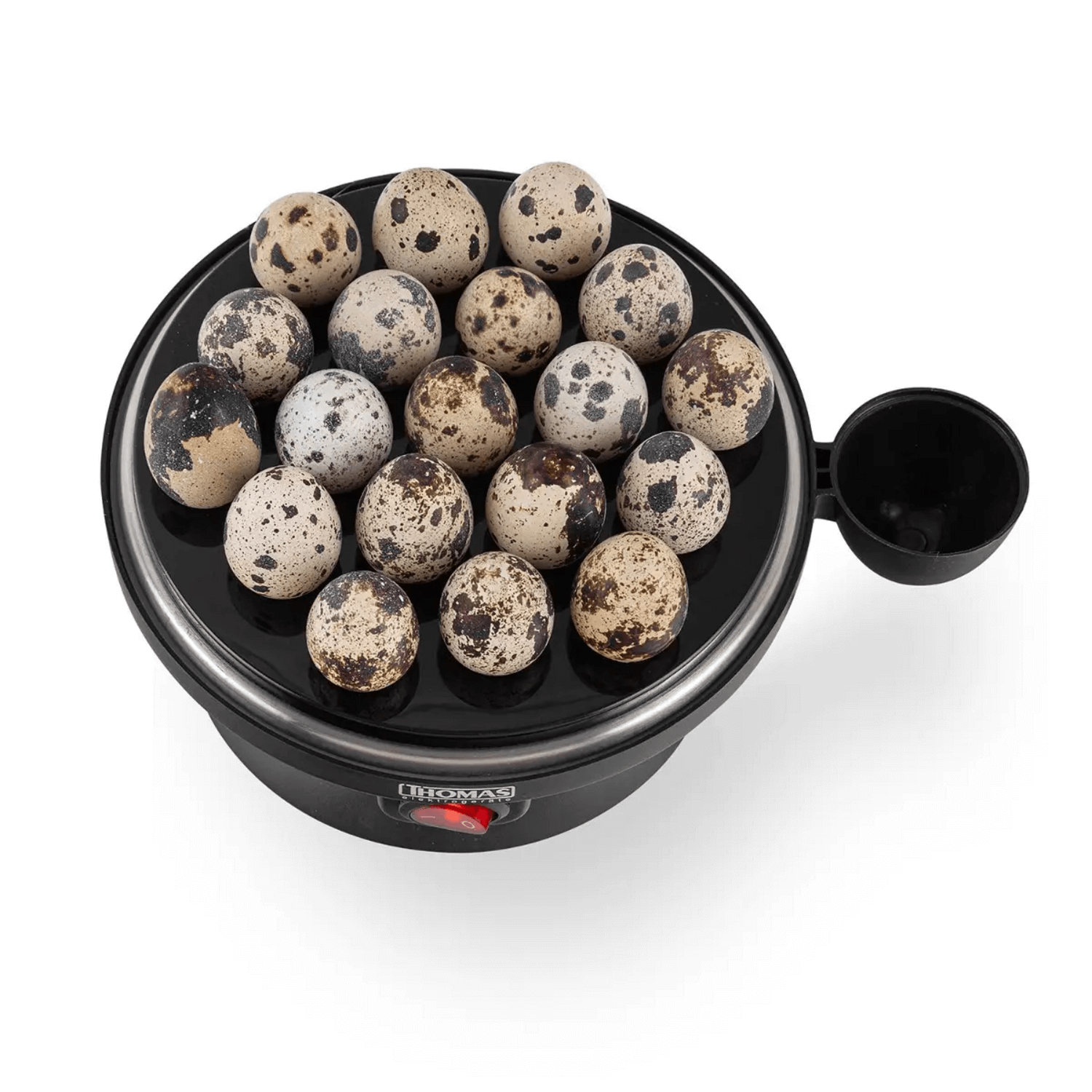 Cocedor de Huevos Thomas TH-80 7 Gallina 19 Codorniz Vapor con huevos de codorniz listos para cocinar.