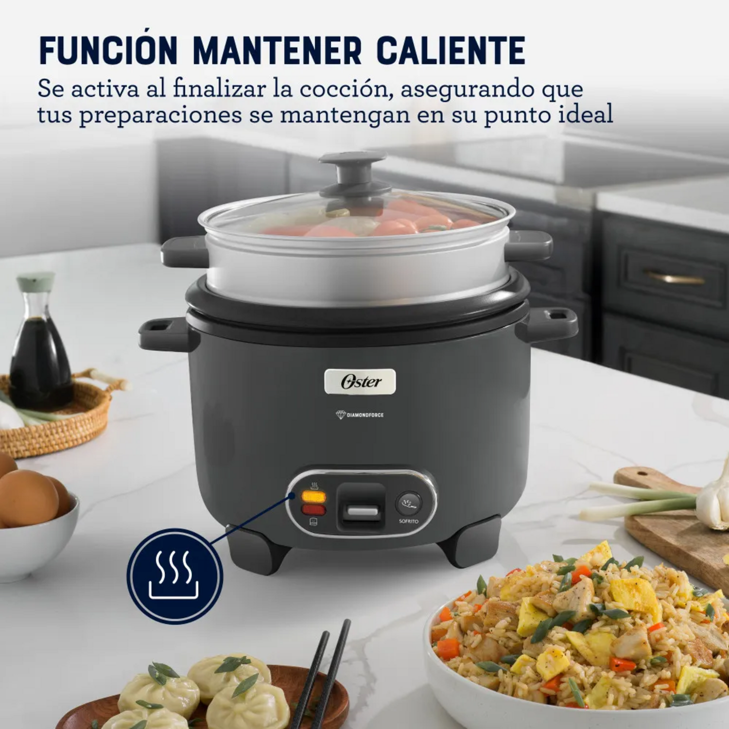 Arrocera Oster 10 Tazas Sofrito y Vaporera Mod 2212407