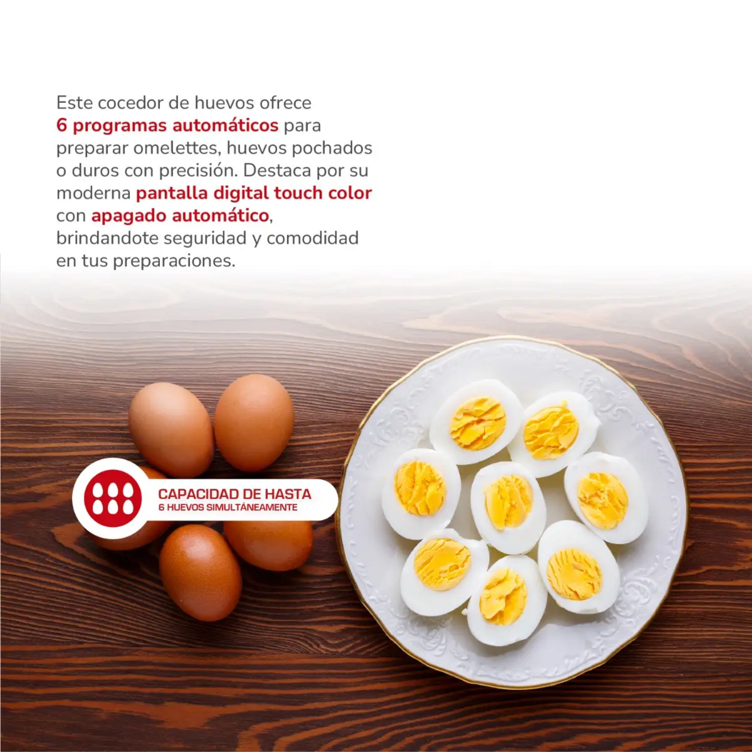 Cocedor de Huevos Digital Thomas TH-85DC Touch 6 Programas