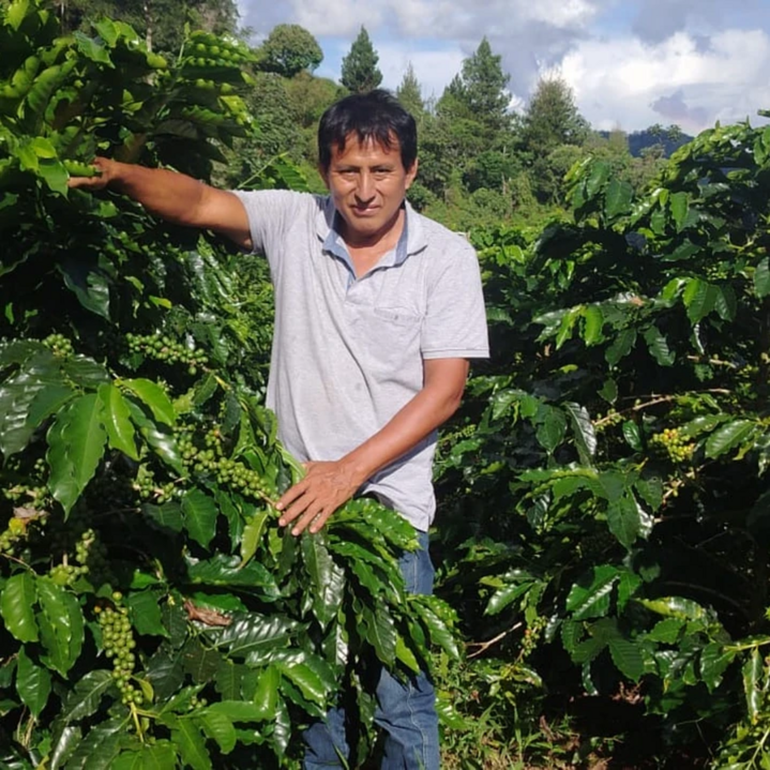 Cafe En Grano Kawas Peru Pangoa Cafe de Origen 250g