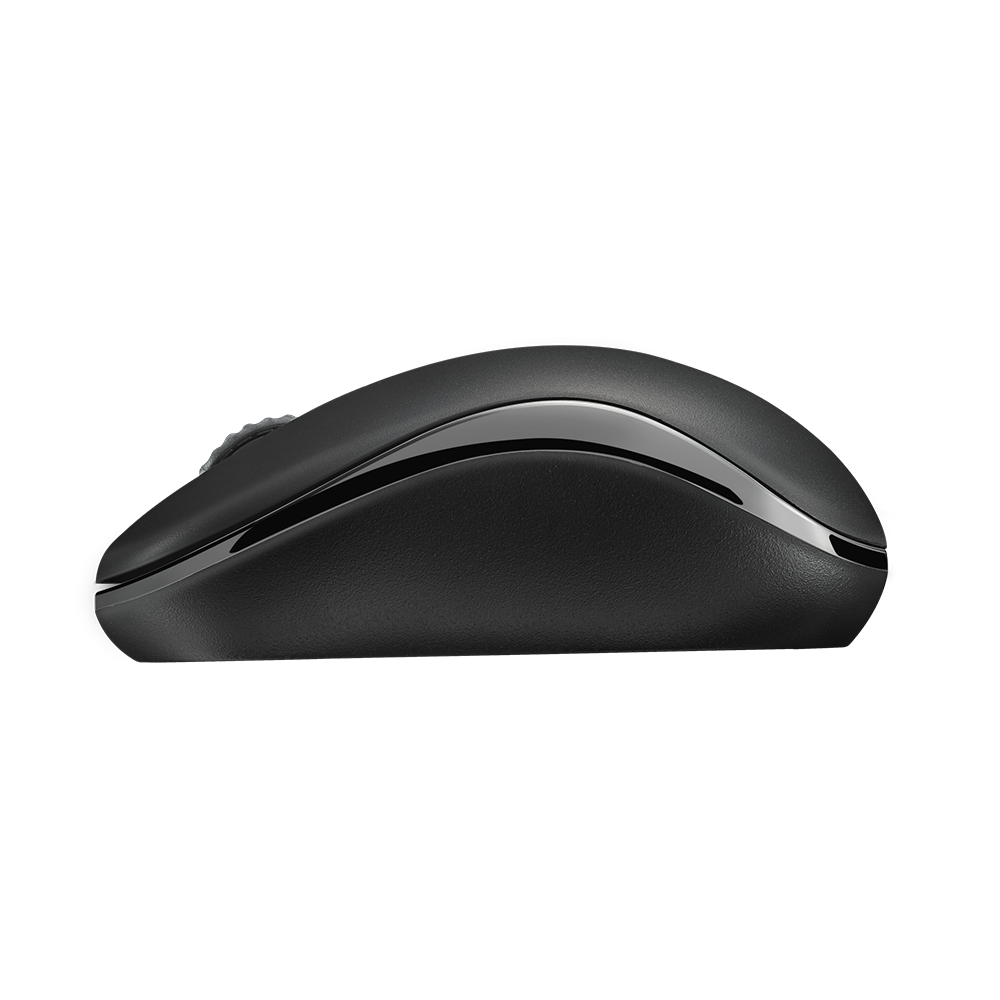 Mouse Inalambrico 2.4 Ghz Rapoo M10 Negro RA007 7899838894928 Mouse by Rapoo | New Horizons