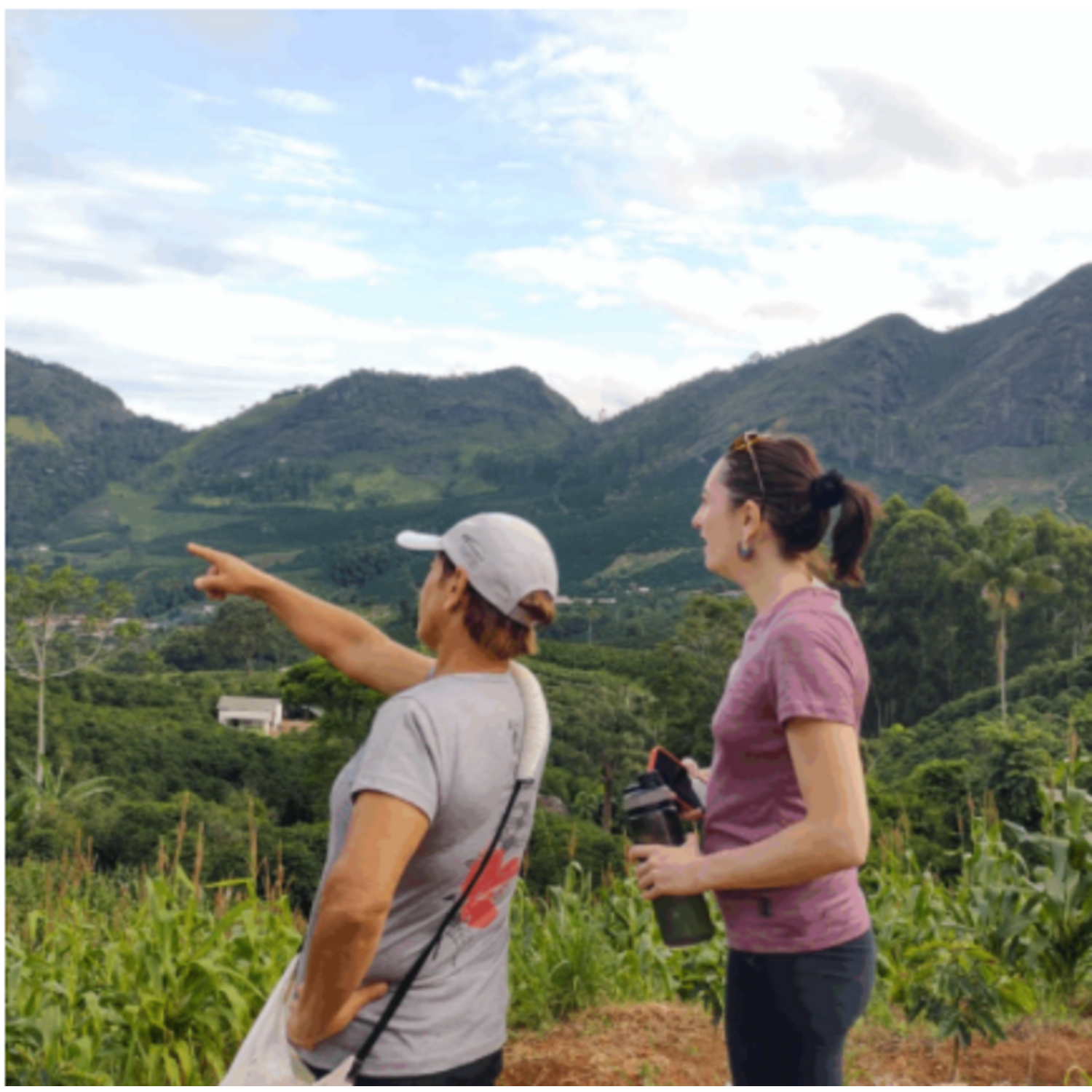 Cafe Molido Nosso Cafe Justo Finca Mujeres Brasil 250g Nosso Cafe Justo New Horizons Chile New Horizons NHT.cl