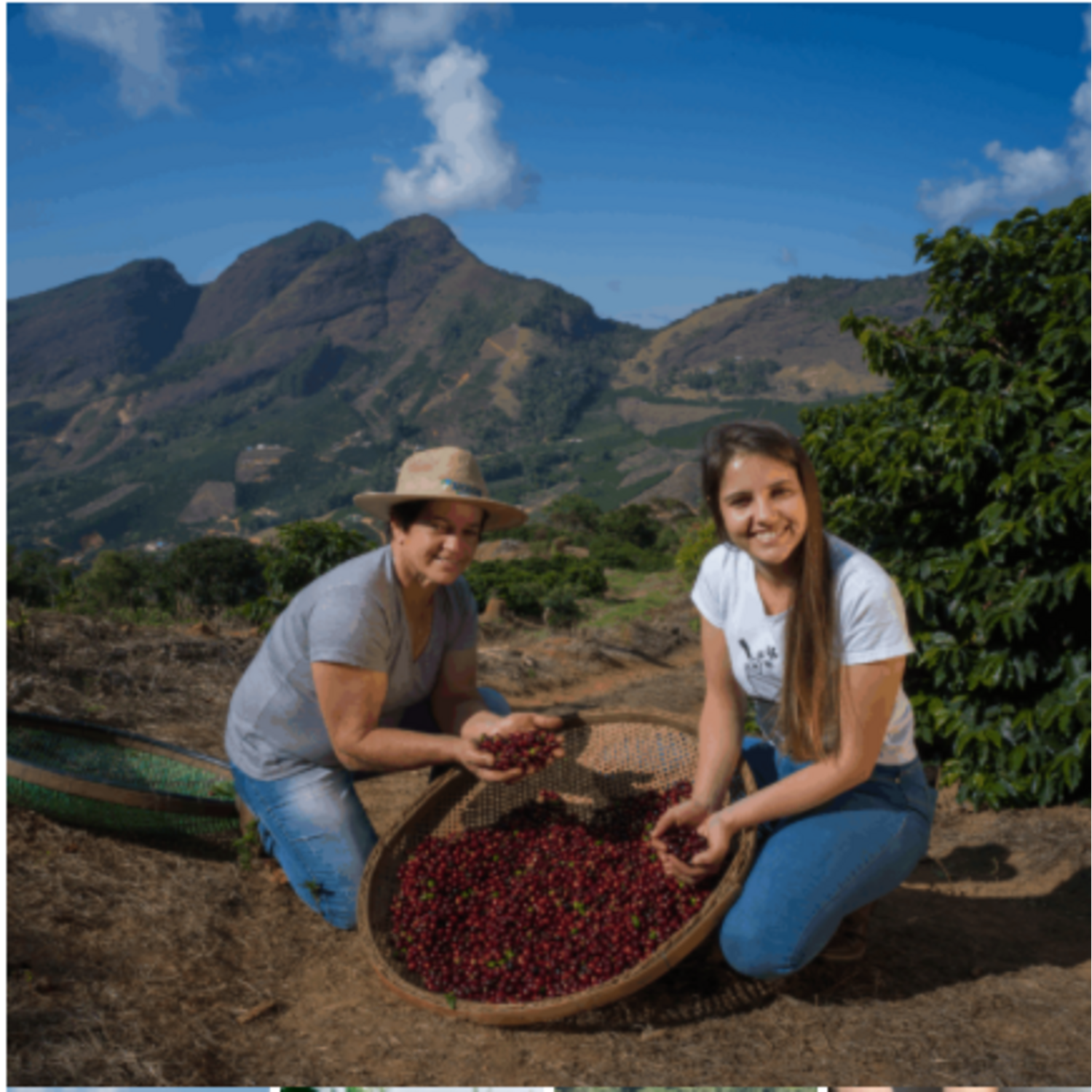 Cafe Molido Nosso Cafe Justo Tropical Blend 250g Nosso Cafe Justo New Horizons Chile New Horizons NHT.cl