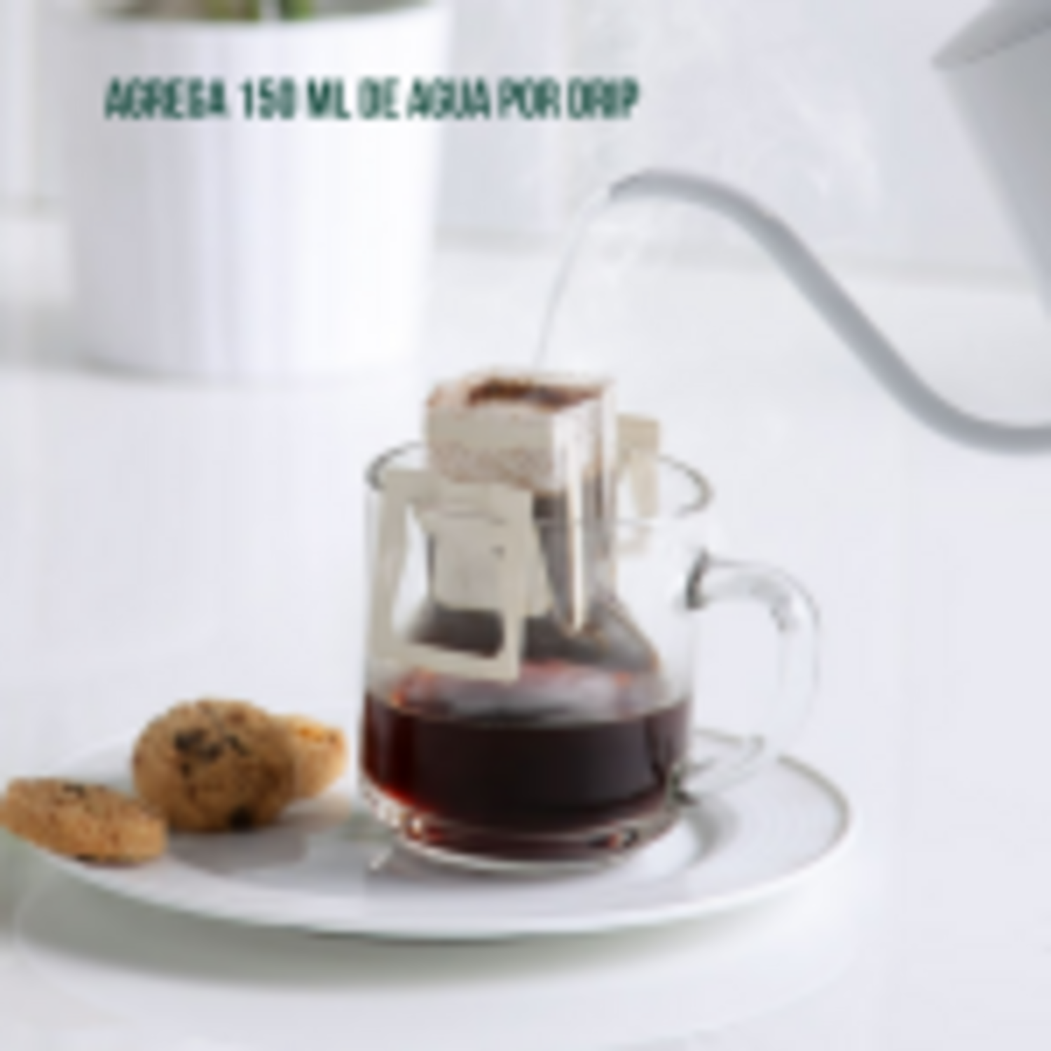 Cafe Sin Maquina Drip Nosso Cafe Justo Finca Mujeres Nosso Cafe Justo New Horizons Chile New Horizons NHT.cl