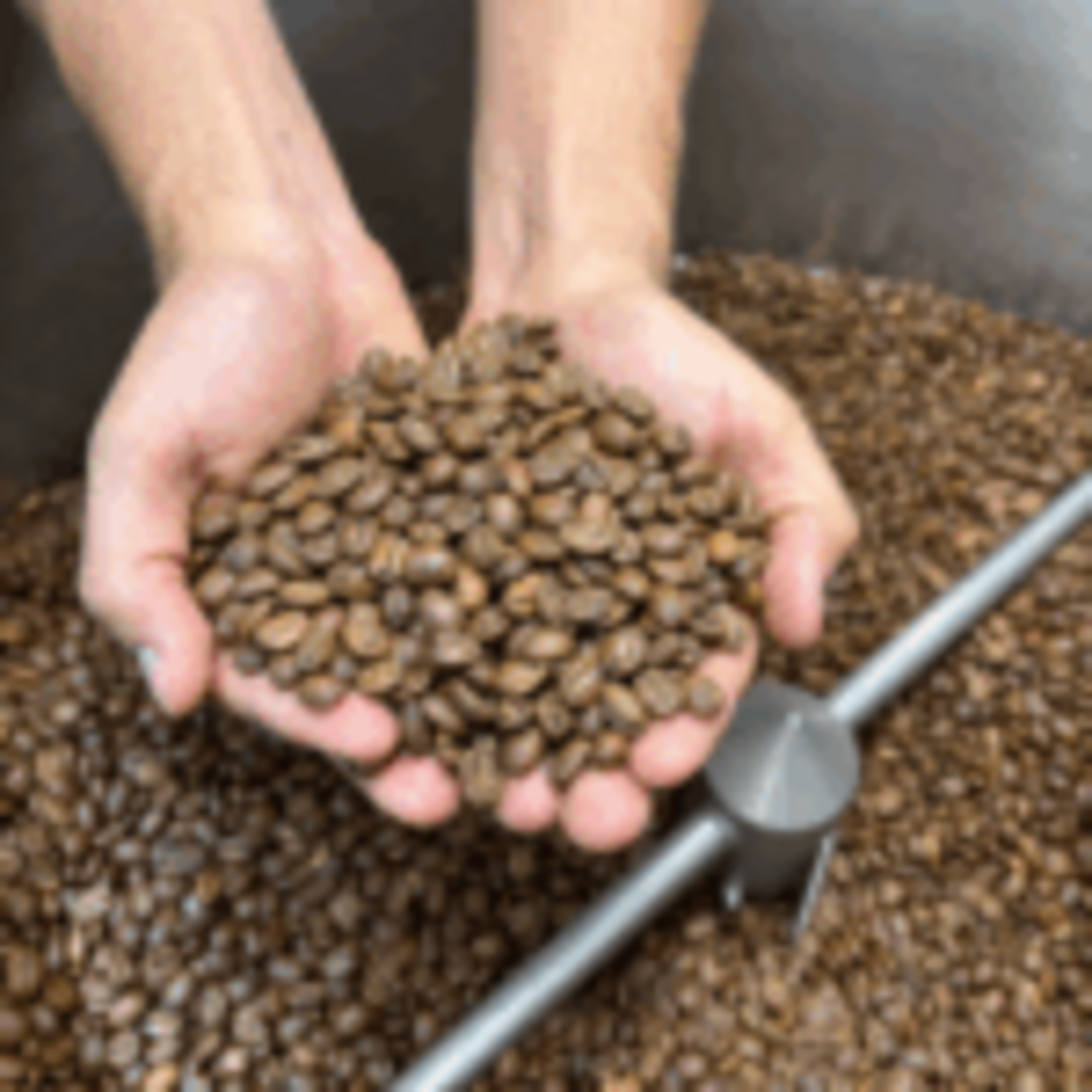 Cafe En Grano Nosso Cafe Justo Finca Indigena 250g