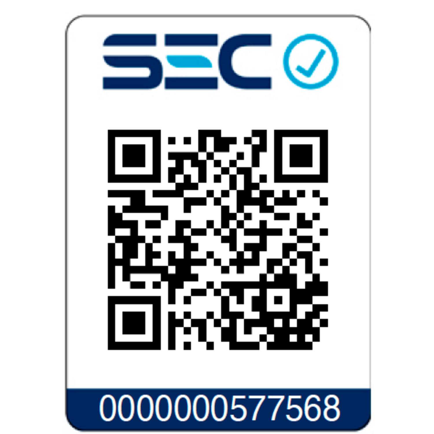 Cepillo Secador 2 en 1 Multi Compacto EB116