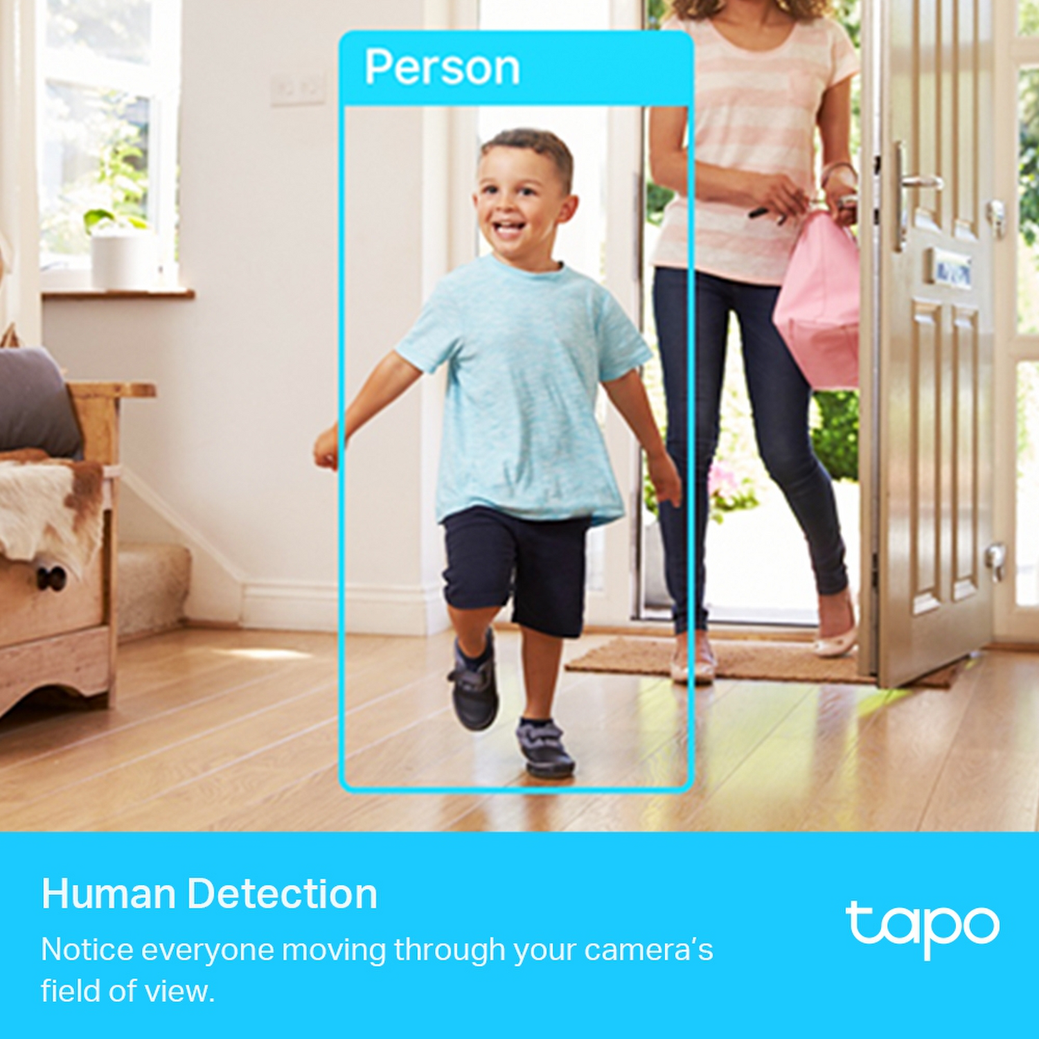 Cámara de Seguridad TP-Link Tapo C225